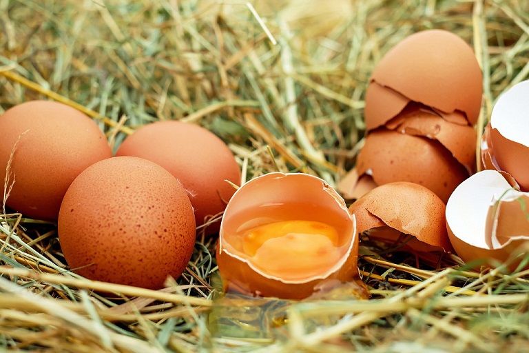 Is it safe for dogs to eat eggs